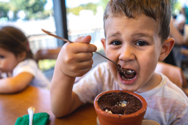 istock Boy eating a chocolate and vanilla ice cream 1061465406