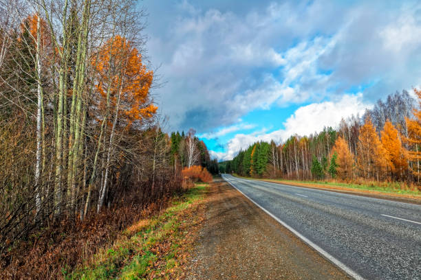 istock autumn landscape with yellow trees against a cloudy sky background 1061465430