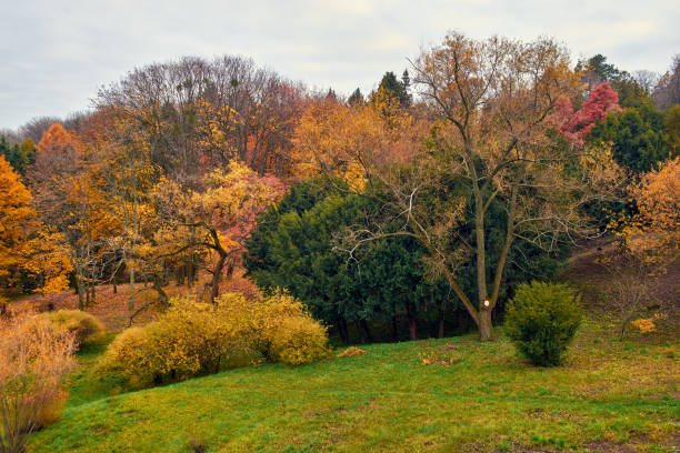 istock The Hryshko National Botanical Garden 1061466080