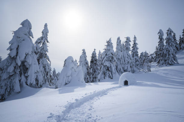 istock Winter landscape with a snow igloo 1061466256