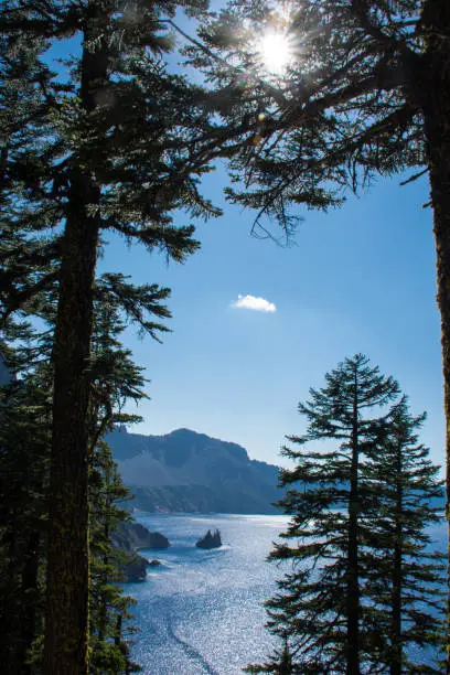 Portrait view of the Phantom Ship in Crater Lake National Park, framed by pine trees
