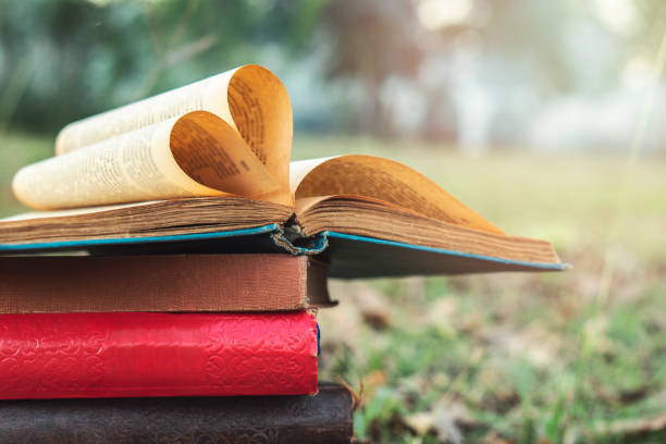 istock Old books heart figure in nature 1061469628