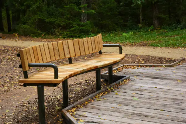 Wooden beach bench in recreation area of forest park near lake. Autumn day.
