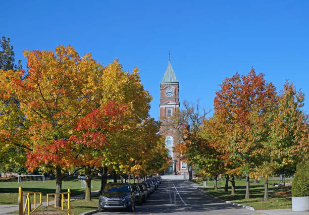 istock college campus with row of oak trees in fall colors 1061473134