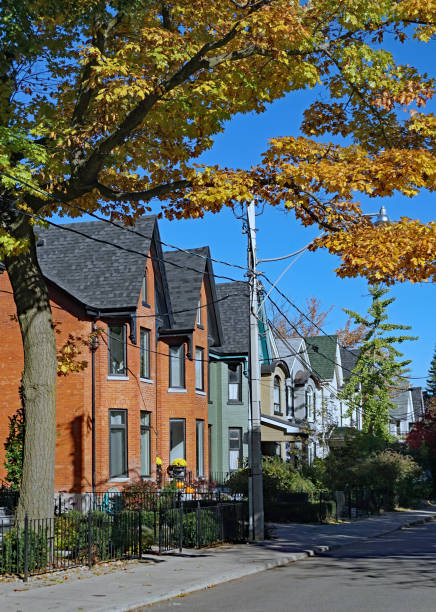 istock tree lined residential street with fall color on golden maple tree 1061473138