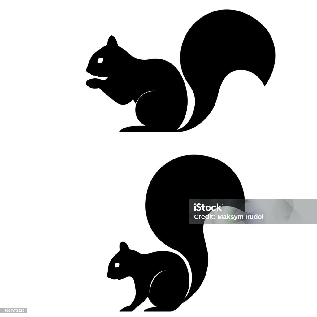 Ícone de esquilo no fundo branco - Vetor de Esquilo royalty-free