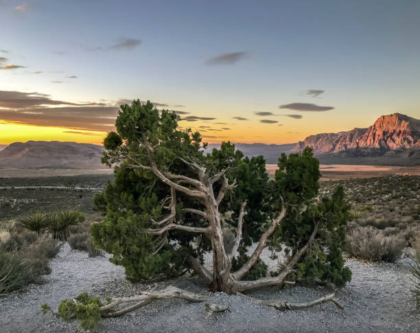 istock Red Rock Canyon,Nevada 1061473522