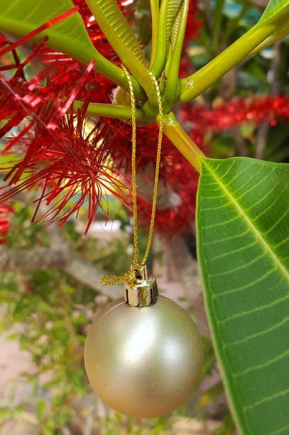 istock Christmas in the tropics 1061477324