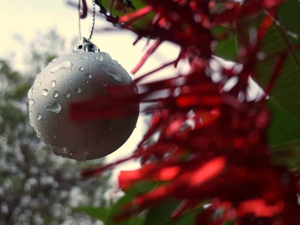 istock Christmas in the tropics 1061477350