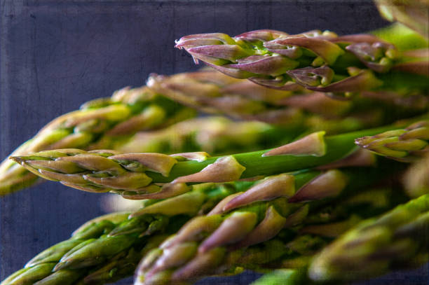 Asparagus