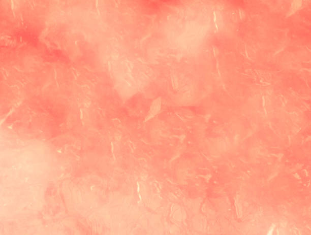 istock Coral Pink and Peach Background Texture 1061490694