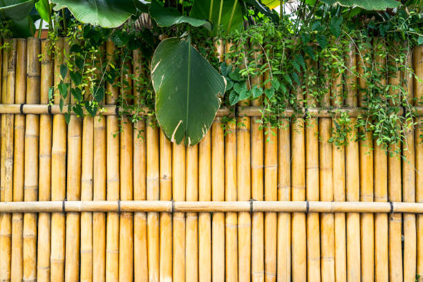 istock japanese architecture design bamboo tropical tree culture 1061490722