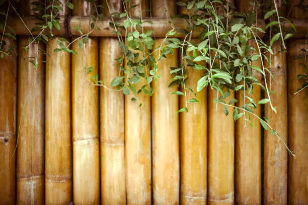 istock bamboo design on the streets of japan 1061491388