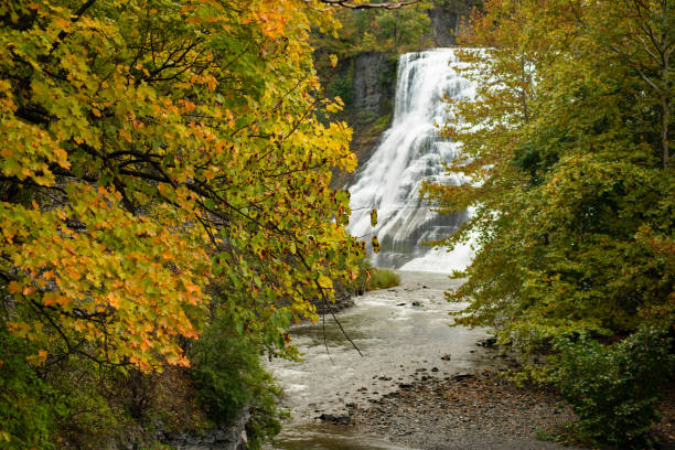 istock Ithaca falls near Cornell University in the fall 1061493932