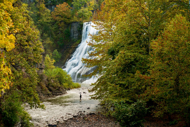 Ithaca falls near Cornell University in the fall Ithaca falls near Cornell University in the fall. Fisherman in the middle of the creek at the base of the falls. Autumn foliage frames the creek. ithaca stock pictures, royalty-free photos & images