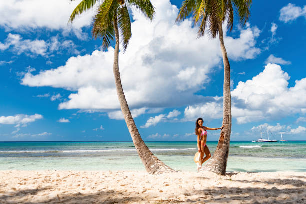 istock Saona Island, Dominican Republic 1061497070