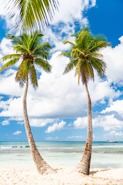 istock Saona Island, Dominican Republic 1061497104