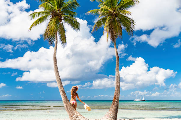 istock Saona Island, Dominican Republic 1061497622