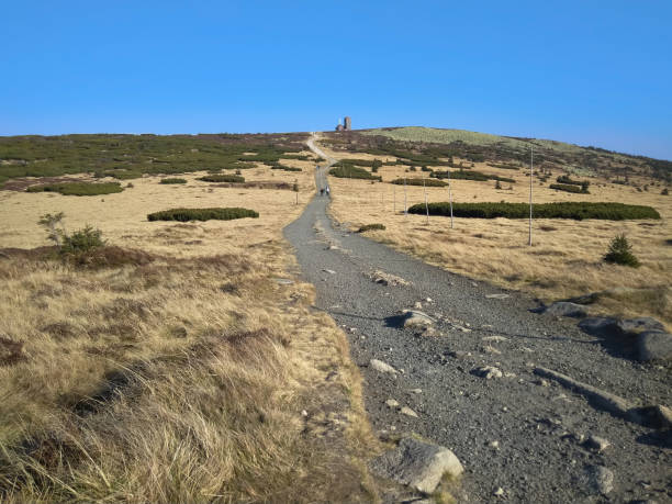 istock Path in nature Czech-polish friendship path 1061497804
