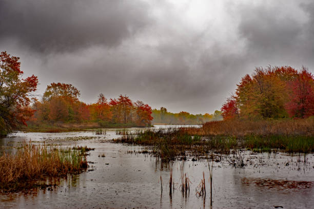 Autumn leaves frames the bird refuge in Presque Isle State park in Erie Pennsylvania. Rain drops ripple on the lagoon under cloudy sky.