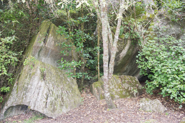 istock Extreme Terrain: Kawakawa, New Zealand 1061522740