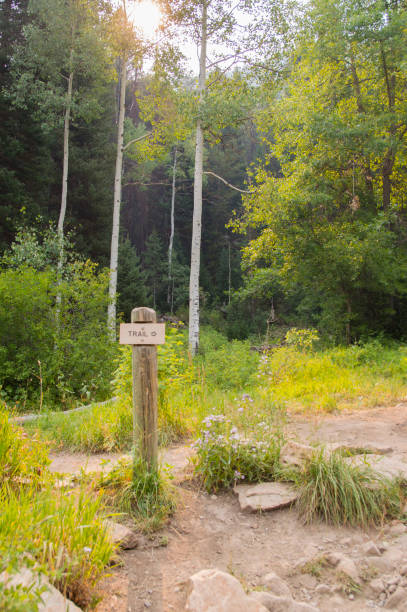 istock Trail Sign Pointing the Way to Donut Falls 1061525804