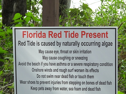 A sign in Spanish and English warning beachgoers to be cautious in the ocean