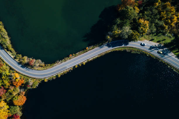 road in the autumn forest aerial view with lake - vista aérea de carro isolado imagens e fotografias de stock