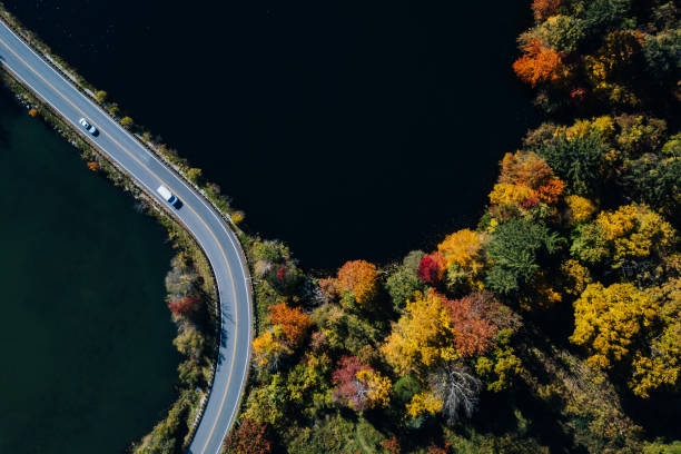 istock Road in the autumn forest aerial view with lake 1061550078