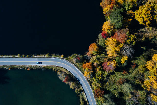 秋湖と森林空中写真の道 - forest autumn aerial view leaf ストックフォトと画像