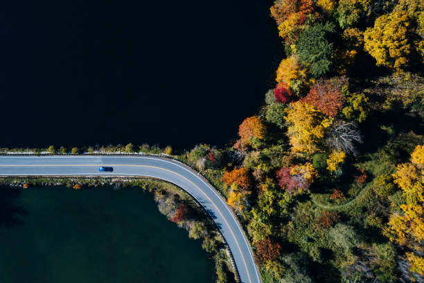 road in the autumn forest aerial view with lake - vista aérea de carro isolado imagens e fotografias de stock