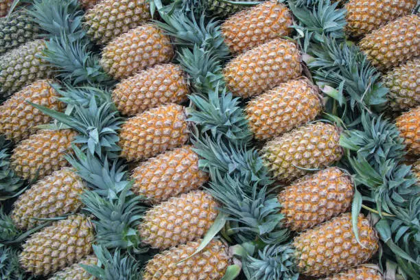 fresh pineapples fruit texture background.