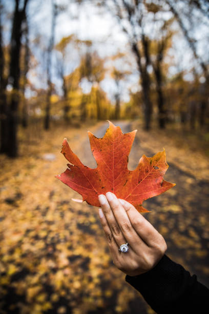 istock Woman's hand wiht ring holding orange leaf in Autumn 1061553470