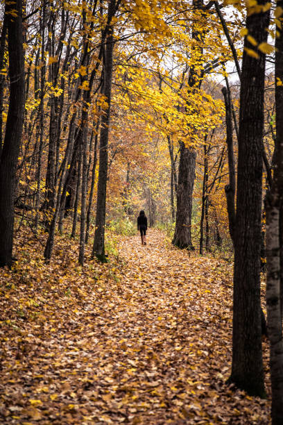 istock Woman in distance walking down path in Autumn 1061553516