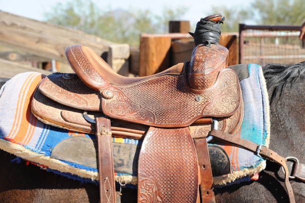 istock Horse Saddled and Ready to Ride 1061556406