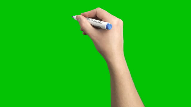 Blue Marker Whiteboard  Scribble Male Short Strokes Hand Loop