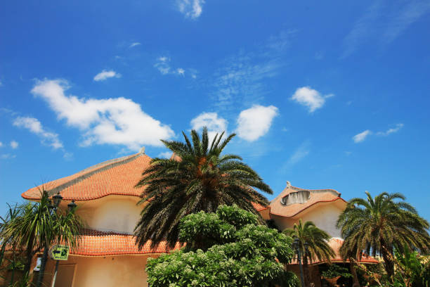 costruzione di resort tropicale - luxury hotel palm tree lush foliage asia foto e immagini stock