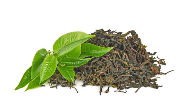 istock Green tealeaf isolated on white background 1061586544