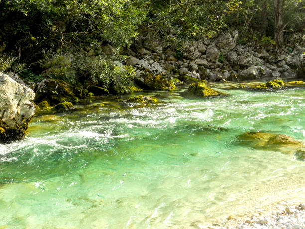 istock Soca river in national park Triglav 1061591486