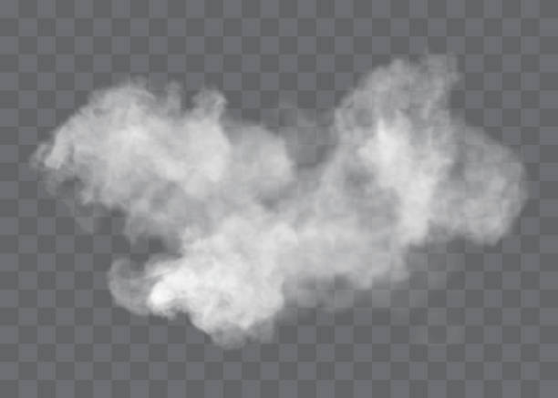 transparenter spezialeffekt sticht bei nebel oder rauch hervor. weißer wolkenvektor, nebel oder smog. - dampf stock-grafiken, -clipart, -cartoons und -symbole