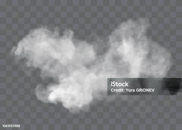 透明な特殊効果は霧や煙で際立っています白雲ベクトル霧やスモッグ - 煙のベクターアート素材や画像を多数ご用意 - 煙, かすみ, 蒸気