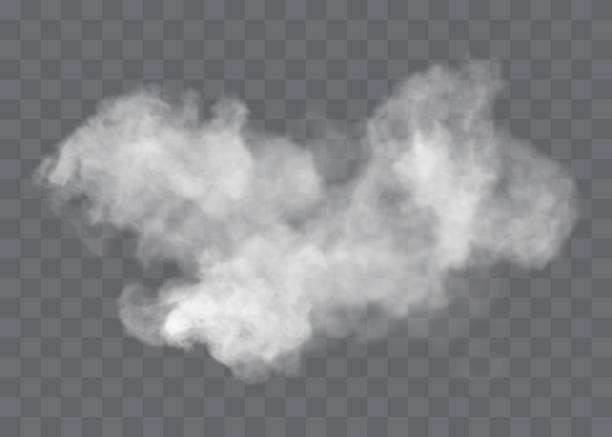 ilustrações de stock, clip art, desenhos animados e ícones de transparent special effect stands out with fog or smoke. white cloud vector, fog or smog. - smoke