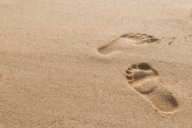 istock footprints in the sand on the beach 1061595486