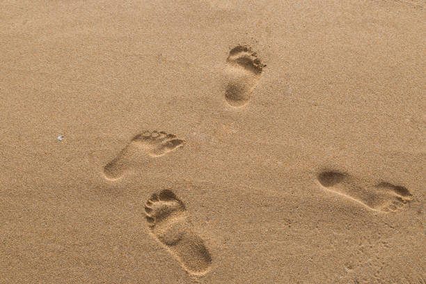 istock footprints of lovers in the sand on the beach 1061595538