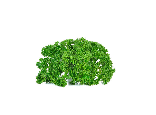 istock parsley isolated on a white background 1061599808