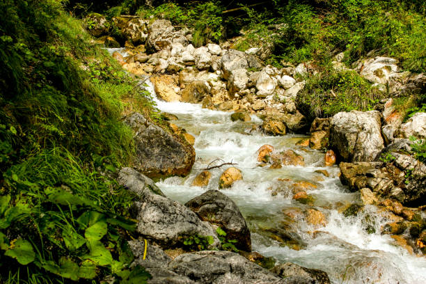 istock Details from national park Triglav - Pericnik waterfall 1061608948