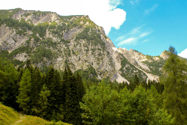 istock Details from national park Triglav 1061611618
