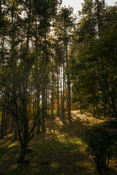istock Beautiful Autumn Scene in the Park 1061614598