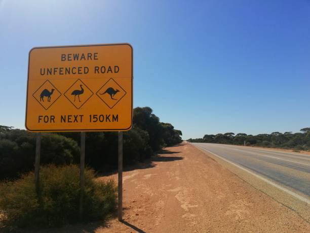 istock Australian animal crossing sign 1061626908