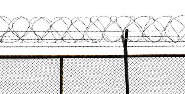 Barbed wire fence Silhouette of barbed wire fence isolated on white background barbed wire stock pictures, royalty-free photos & images